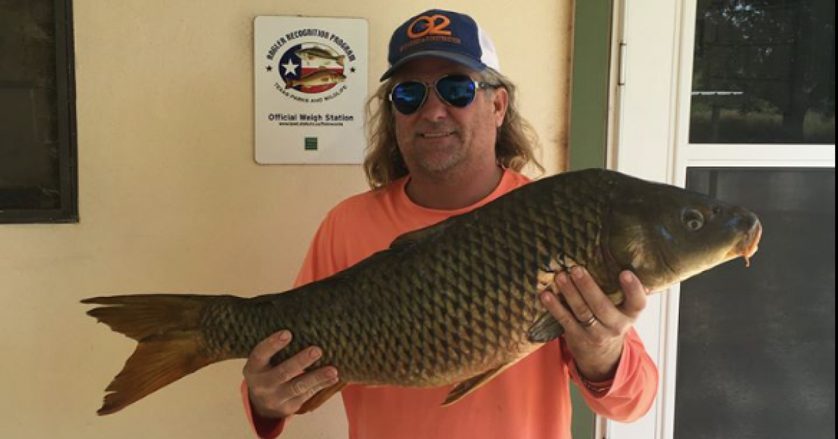 Record Carp Caught By Bow Fisherman on Lake Nasworthy